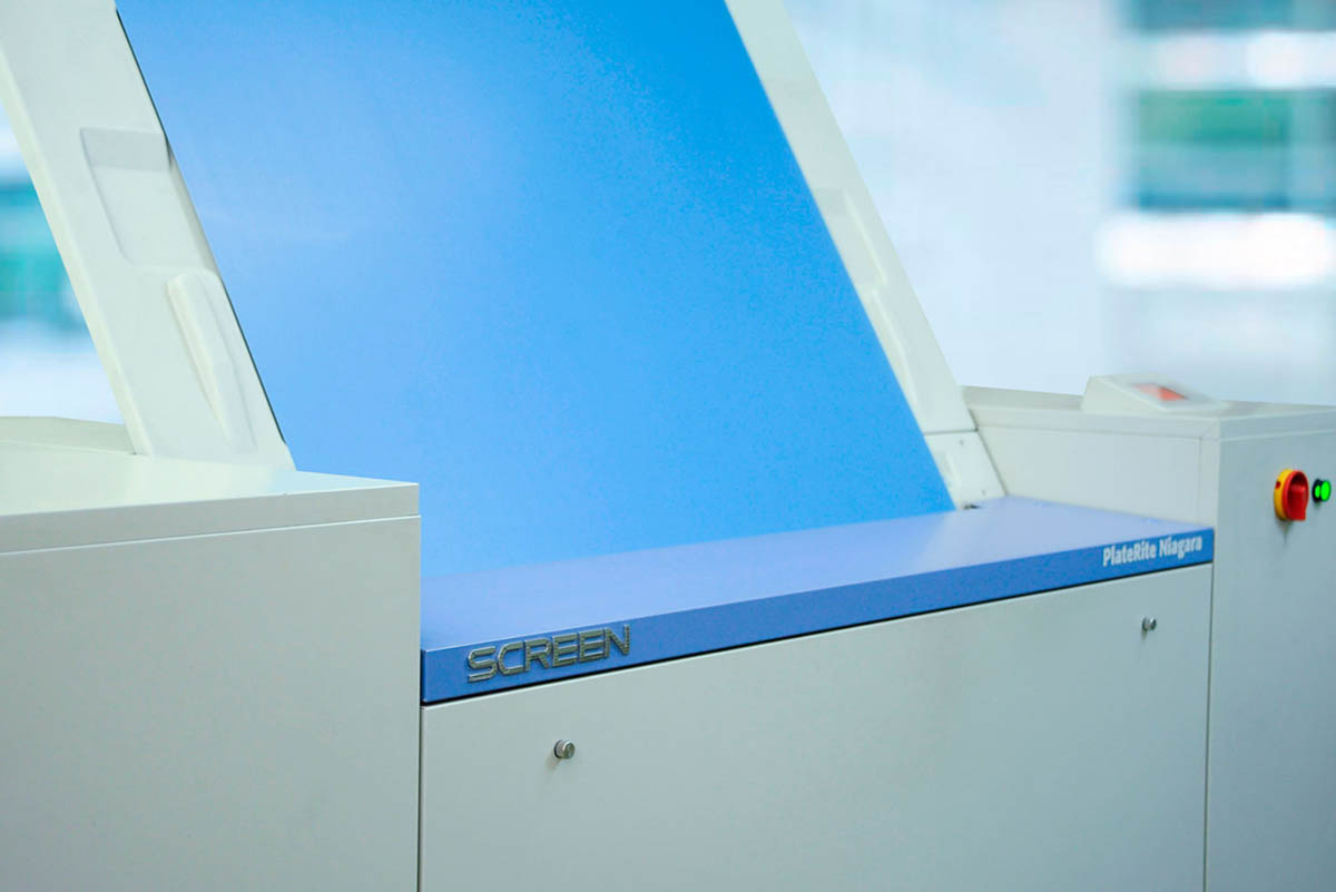 Imagen de DESDE 1965